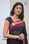 Pranitha New Gallery - 72 of 104