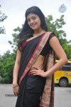 Pranitha New Gallery - 74 of 104