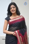 Pranitha New Gallery - 87 of 104