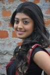 Pranitha New Gallery - 92 of 104