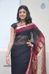 Pranitha New Gallery - 96 of 104