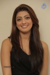 Pranitha New Gallery - 57 of 46