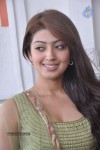 Pranitha Photos - 52 of 81