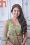 Pranitha Photos - 71 of 81