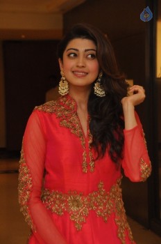 Pranitha Subhash New Photos - 49 of 58