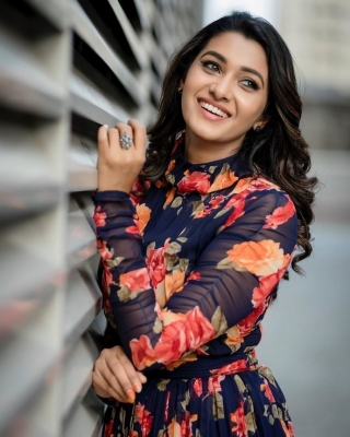 Priya Bhavani Shankar Photos - 12 of 15