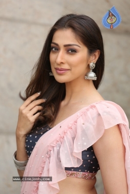 Raai Laxmi Photos - 18 of 31