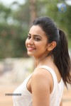 Rakul Preeth Singh Gallery - 56 of 133