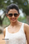 Rakul Preeth Singh Gallery - 79 of 133