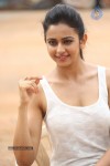 Rakul Preeth Singh Gallery - 93 of 133