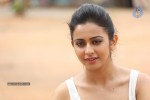 Rakul Preeth Singh Gallery - 120 of 133