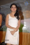 Reshma New Gallery - 16 of 61