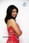 Richa Gangopadhyay Gallery - 55 of 59