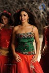 Richa Gangopadhyay Hot Stills - 48 of 77