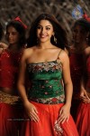 Richa Gangopadhyay Hot Stills - 51 of 77