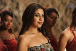 Richa Gangopadhyay Hot Stills - 59 of 77