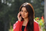 Richa Gangopadhyay Hot Stills - 65 of 77