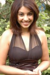 Richa Gangopadhyay Latest Stills - 87 of 86