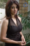 Richa Gangopadhyay Latest Stills - 94 of 86