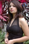 Richa Gangopadhyay Latest Stills - 20 of 86