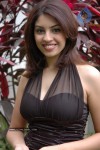 Richa Gangopadhyay Latest Stills - 72 of 86