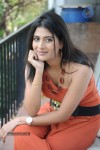 Richa New Stills - 44 of 53