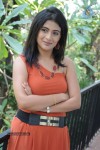 Richa New Stills - 46 of 53