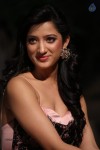 Richa Panai New Photos - 31 of 52