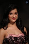 Richa Panai New Photos - 63 of 52