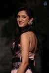 Richa Panai New Photos - 42 of 52