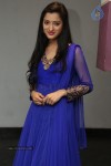 Richa Panai New Photos - 7 of 64