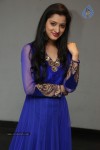 Richa Panai New Photos - 15 of 64