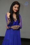 Richa Panai New Photos - 39 of 64