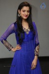 Richa Panai New Photos - 43 of 64