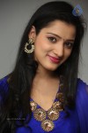 Richa Panai New Photos - 60 of 64