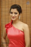 Richa Panai Photos - 17 of 40