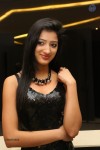 Richa Panai Photos - 49 of 49