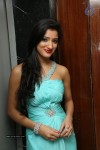 Richa Panai Pics - 1 of 47