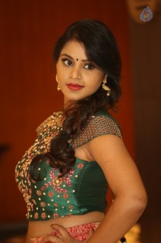 Sai Krupa Latest Photos - 49 of 50