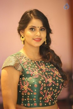 Sai Krupa Latest Photos - 45 of 50