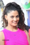 Saiyami Kher Stills - 19 of 63