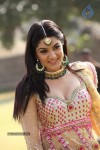 Sakshi Choudary Hot Gallery - 93 of 127