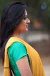 Sakshi Choudary Photos - 67 of 67