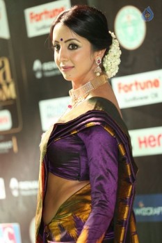 Sanjjanaa at IIFA 2017 - 18 of 41