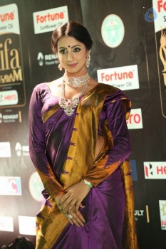 Sanjjanaa at IIFA 2017 - 22 of 41