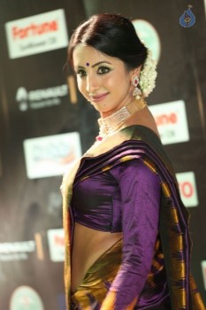 Sanjjanaa at IIFA 2017 - 28 of 41