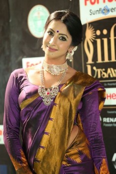 Sanjjanaa at IIFA 2017 - 33 of 41