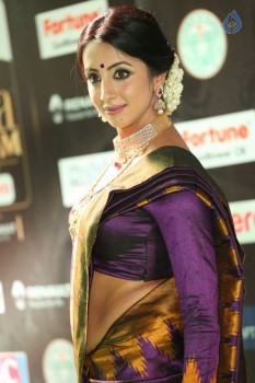 Sanjjanaa at IIFA 2017 - 37 of 41