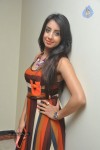 Sanjjanaa Latest Stills - 59 of 71