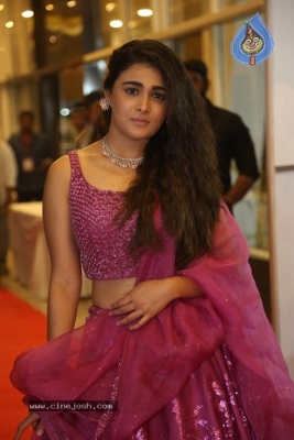 Shalini Pandey New Pics - 14 of 21